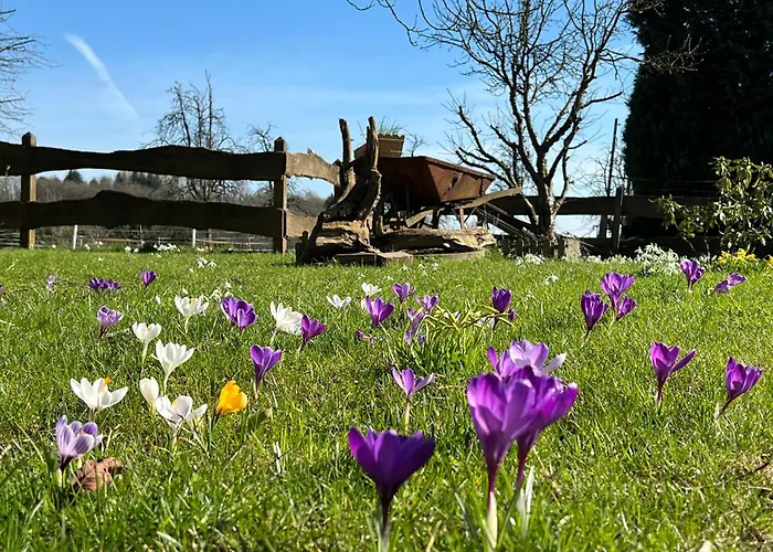 Am Gruenenplatz 63 Lejlighed
